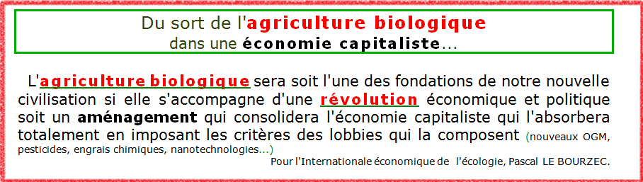 Sans titre 6