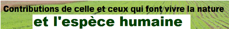 Sans titre 7